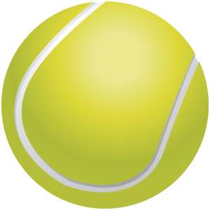 Sports and Hobbies